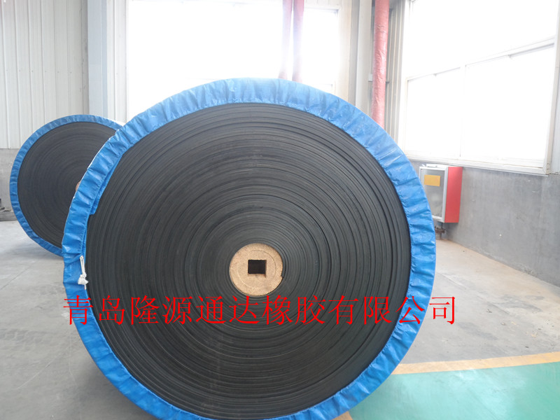 隆源通達高品質(zhì)耐酸堿輸送帶